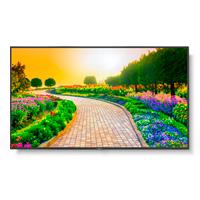MONITOR PROFESIONAL NEC DE 55 M551 UHD 3840 X 2160 24/7 500 CD/M2 80001 HDMI DISPLAYPORT HDCP USB RJ-45 INTEL SDM Y RPI4 3AOS DE GARANTIA M551 - Código: M551 | Compra en Guadalajara