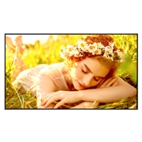 SE�ALIZACI�N DIGITAL MONITORES LG