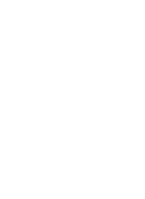 silimex